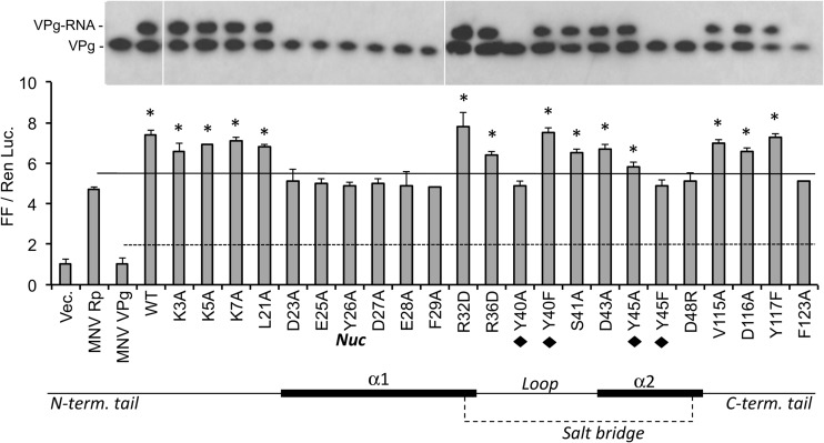 Fig 7