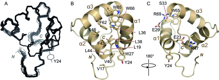 Fig 2