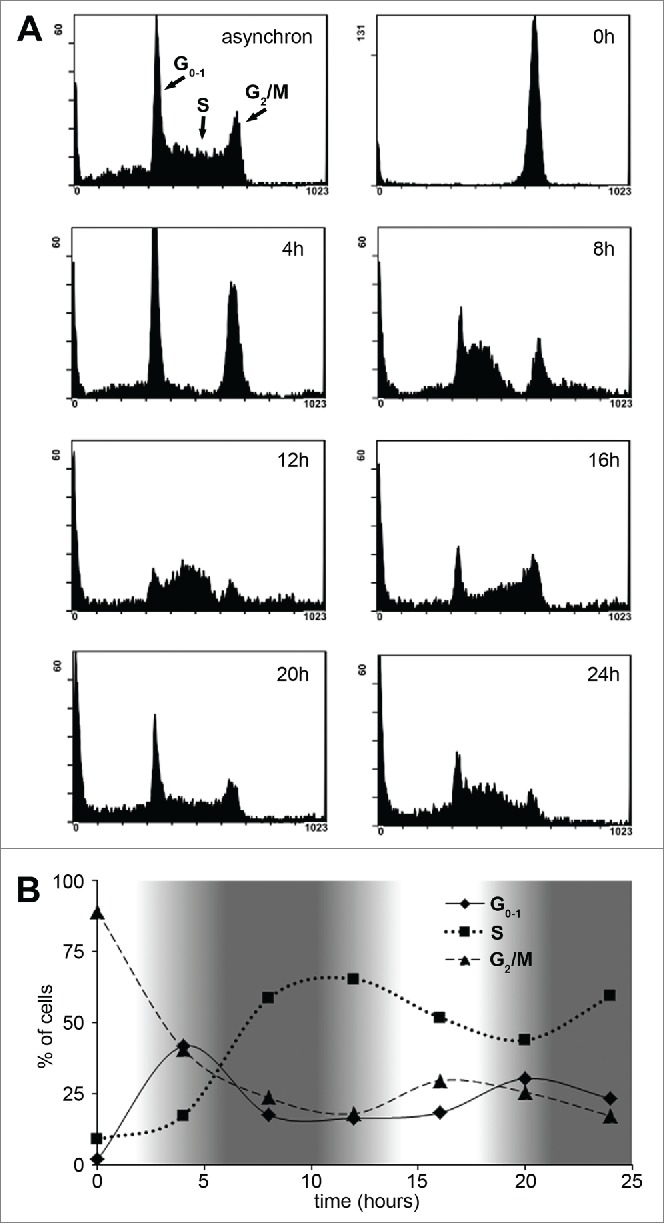 Figure 1.