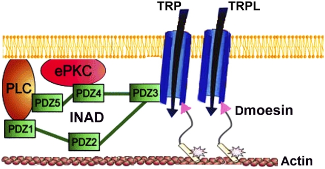 Figure 10.