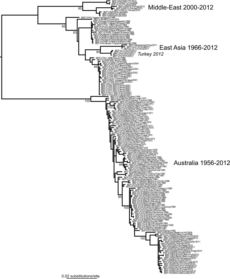 FIG 1