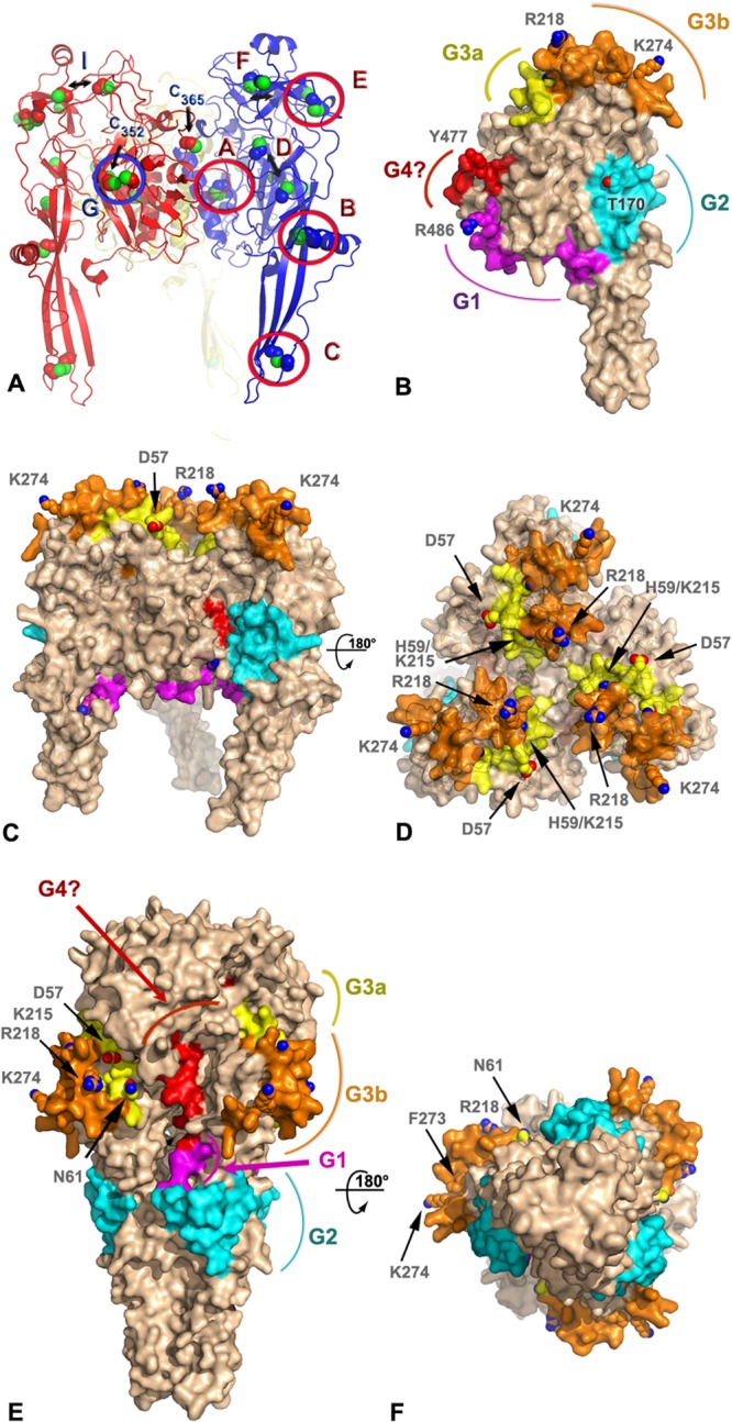 FIG 4