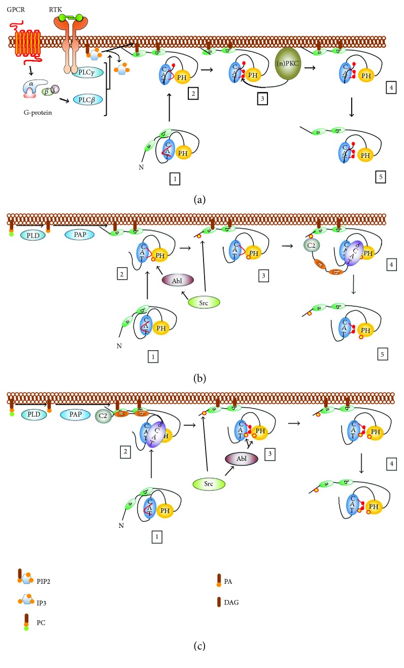 Figure 2