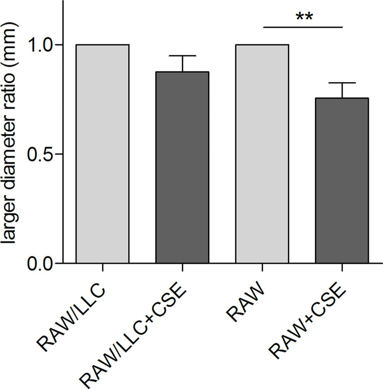 Fig 5