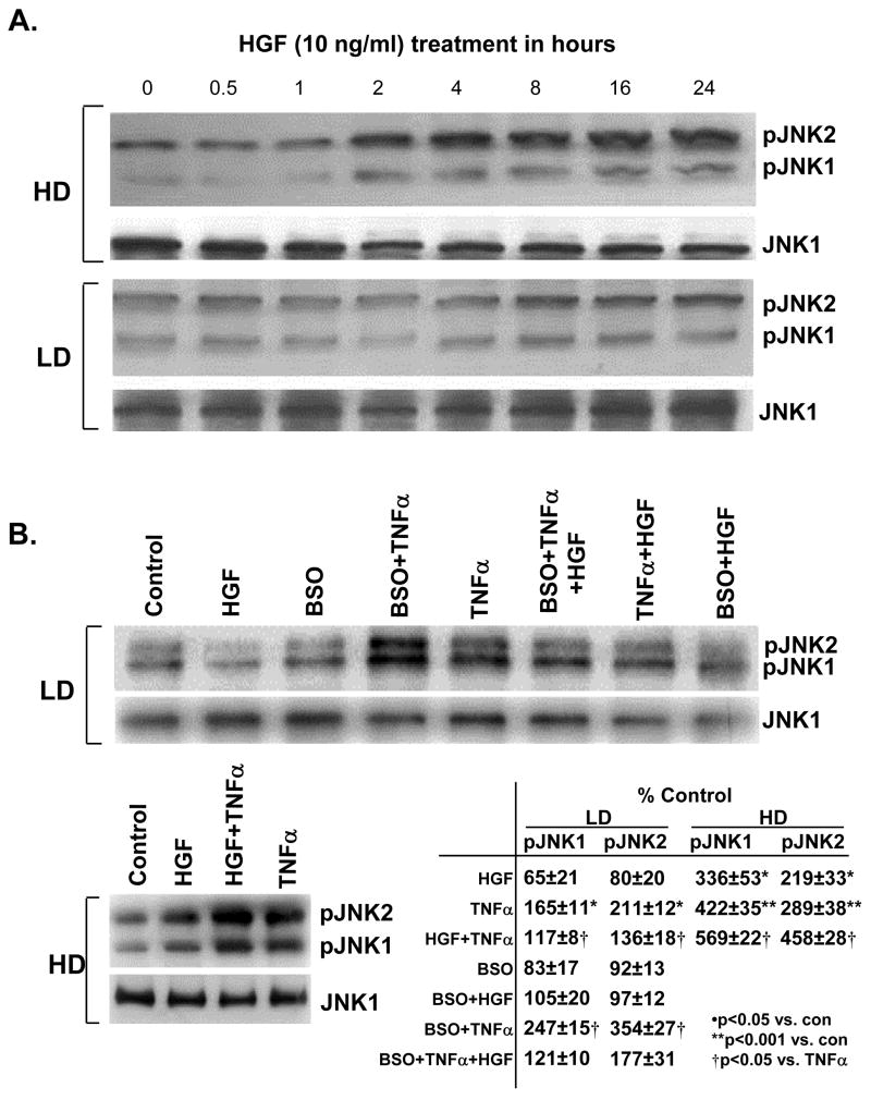 Fig. 12