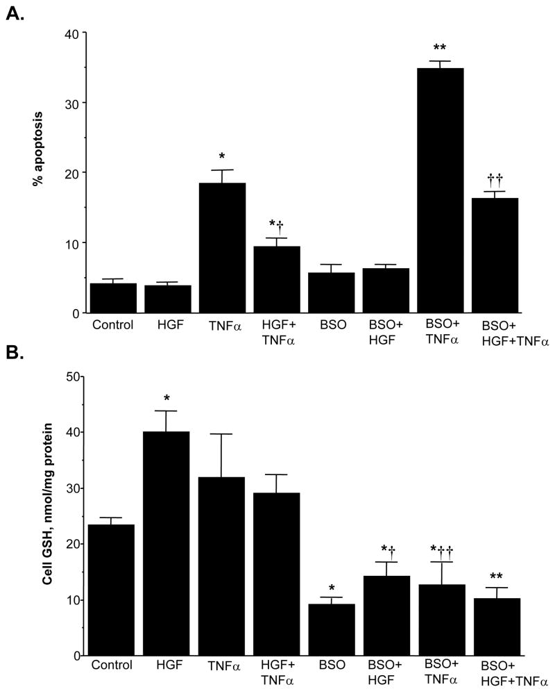 Fig. 11