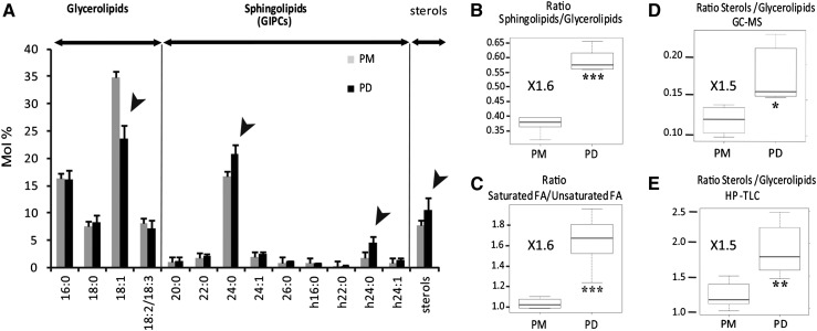 Figure 5.