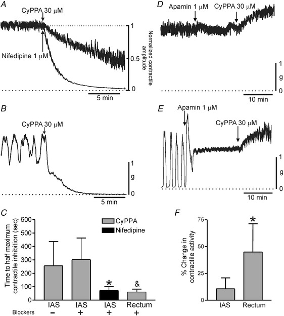 Figure 11