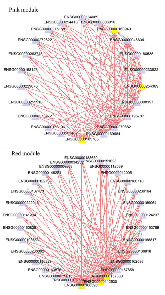 Figure 4.