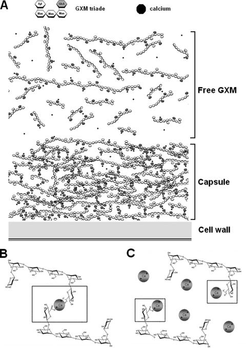 FIG. 6.