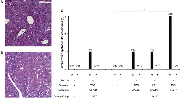 Figure 1