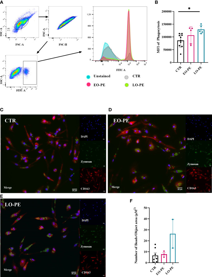 Figure 4