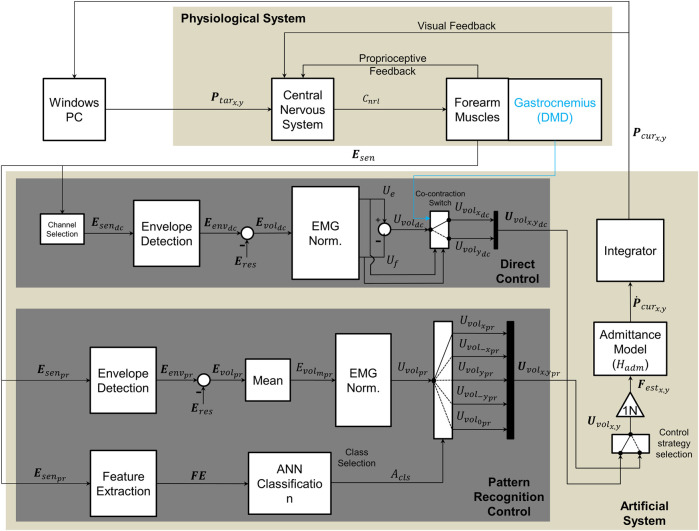 FIGURE 2