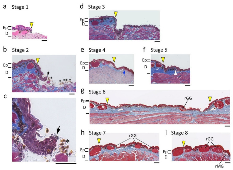 Figure 6