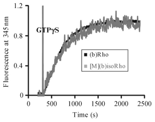 Figure 11.4