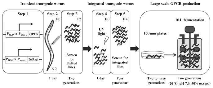 Figure 11.1