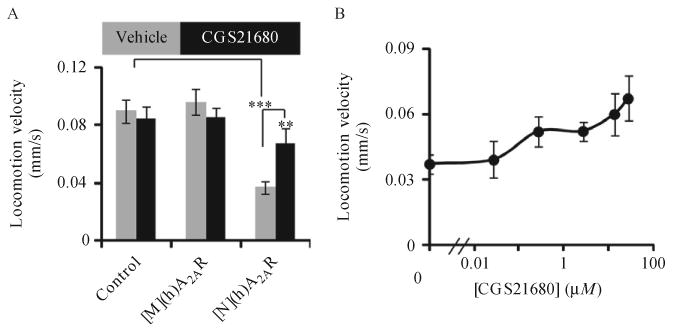 Figure 11.5