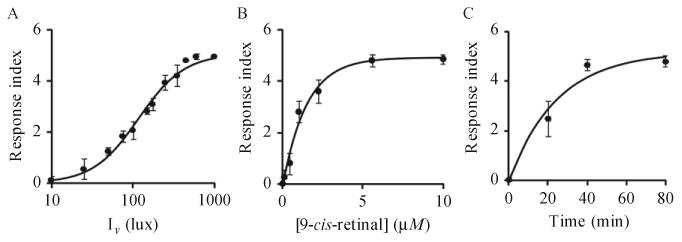 Figure 11.3