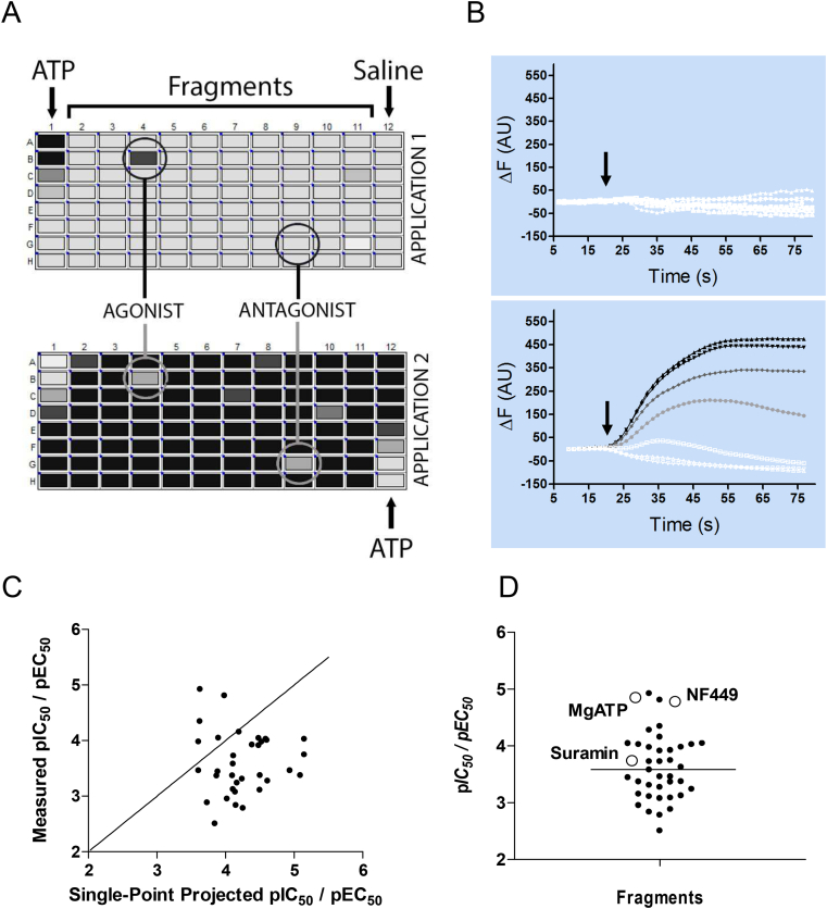 Fig. 1