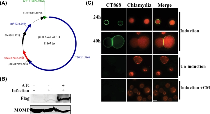 Figure 3.