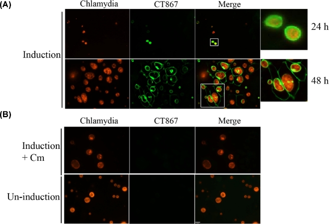 Figure 4.