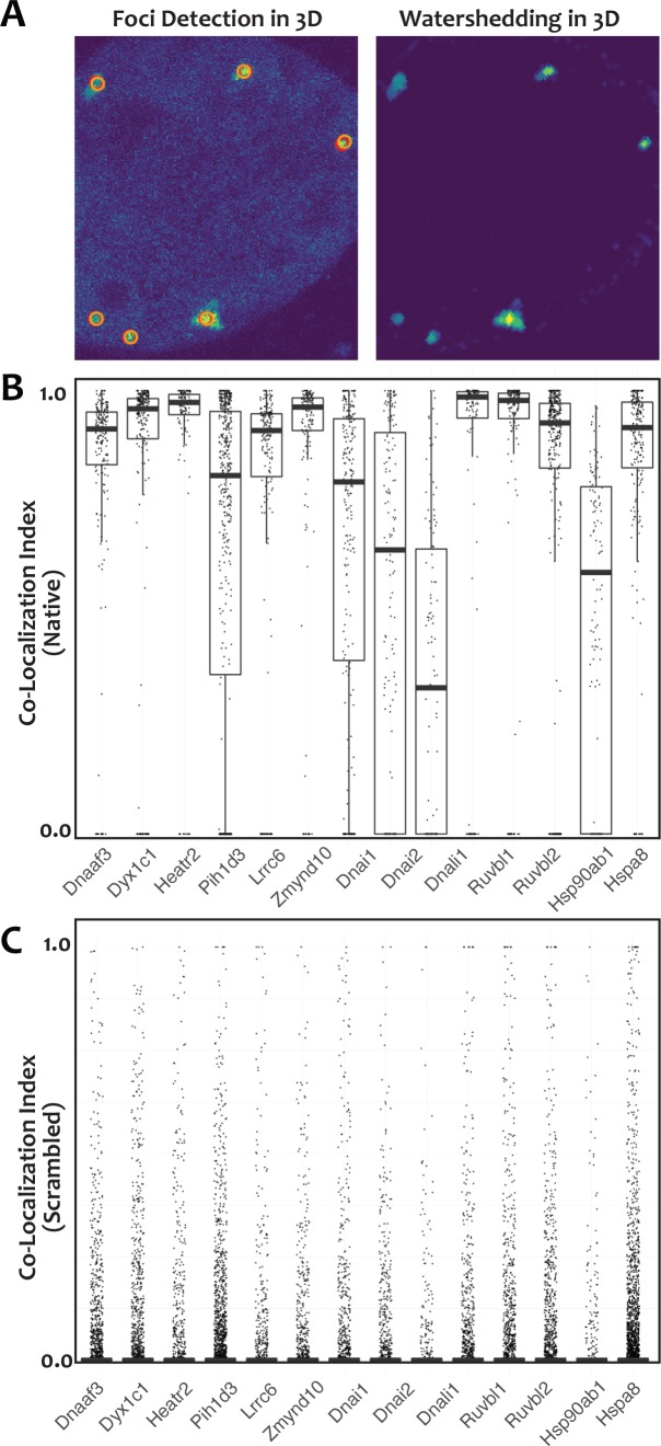 Figure 1—figure supplement 3.