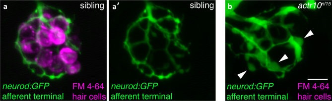 Fig. 3