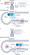 Fig. 7 |