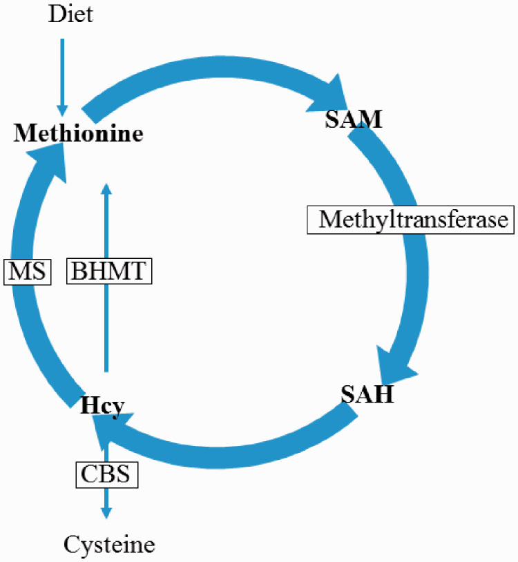 Figure 1.