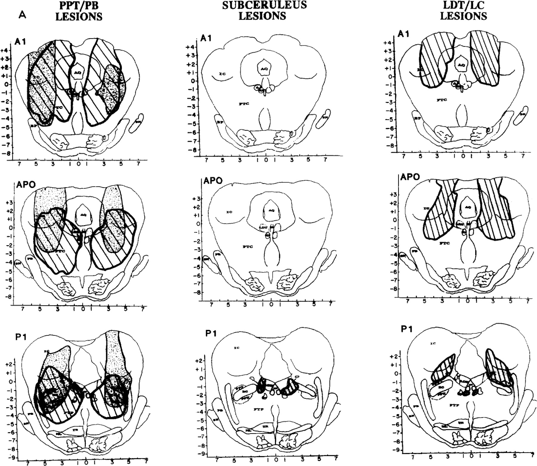 Fig. 3.