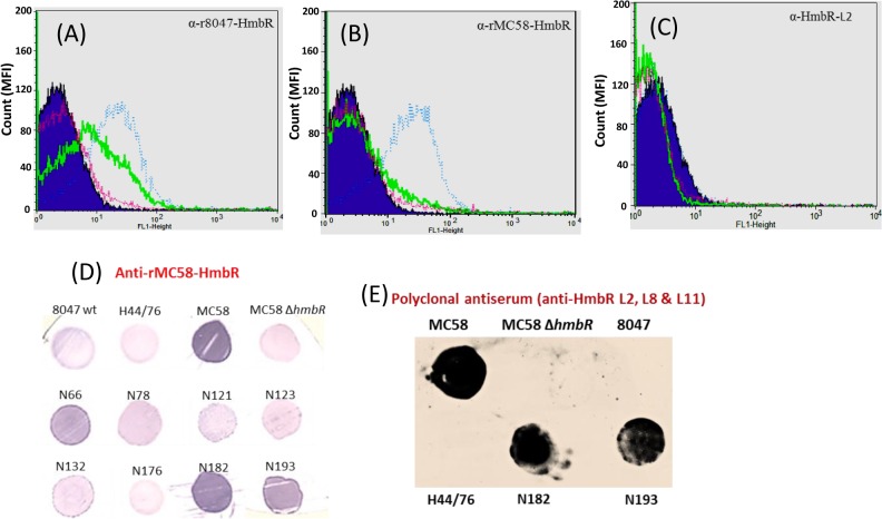 Fig 6