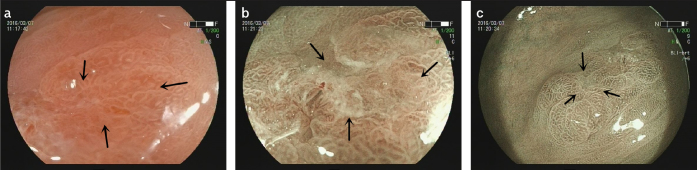 Figure 1. a–c