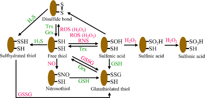 Fig. 2