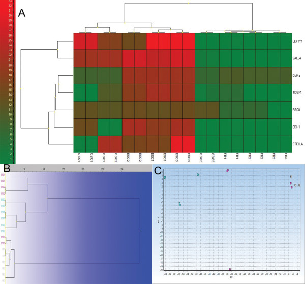 Figure 16