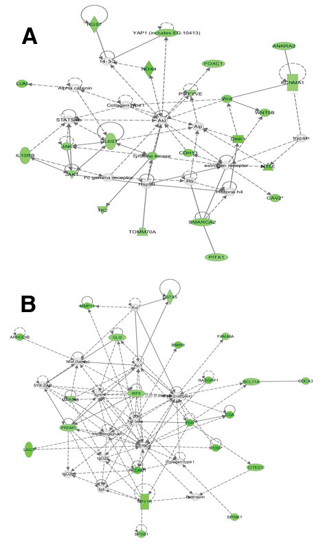 Figure 15