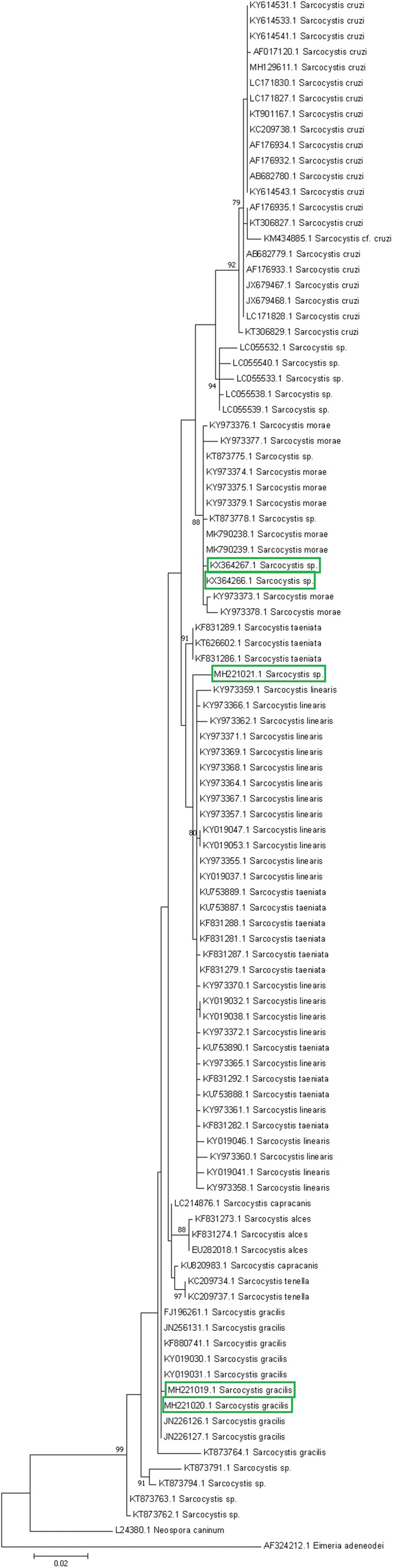 Fig. 2