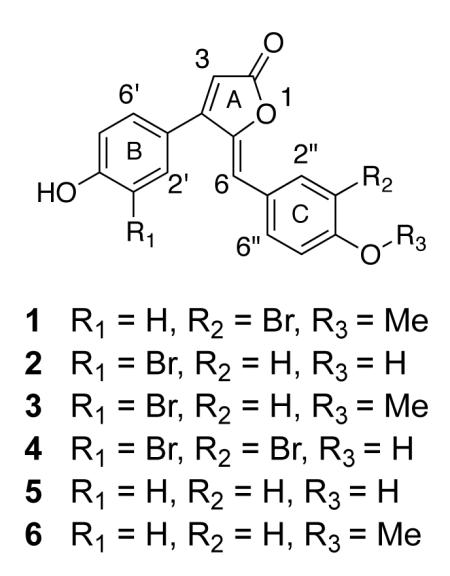 graphic file with name nihms-412130-f0001.jpg