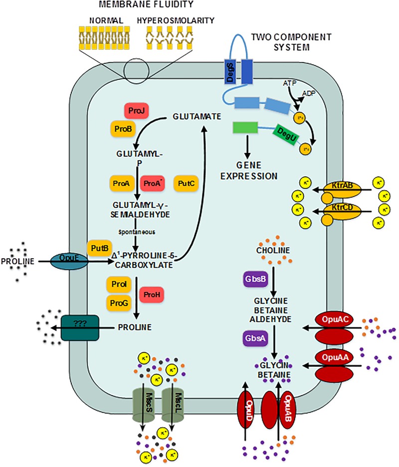 FIGURE 3