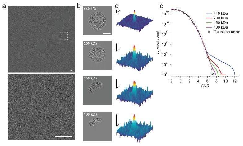 Figure 2—figure supplement 1.