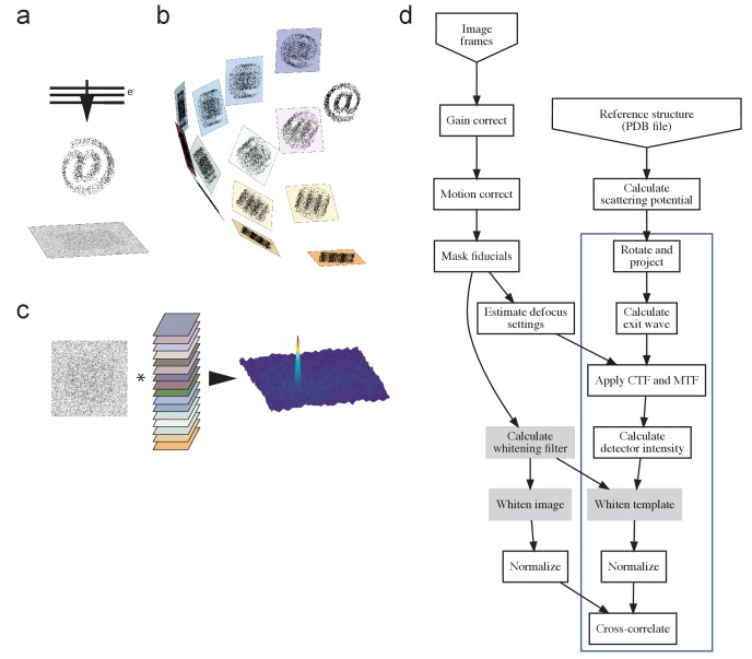 Figure 1—figure supplement 1.