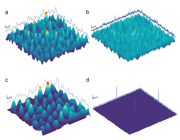 Figure 3—figure supplement 1.