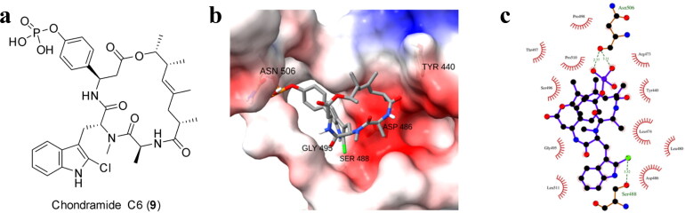 Figure 4.