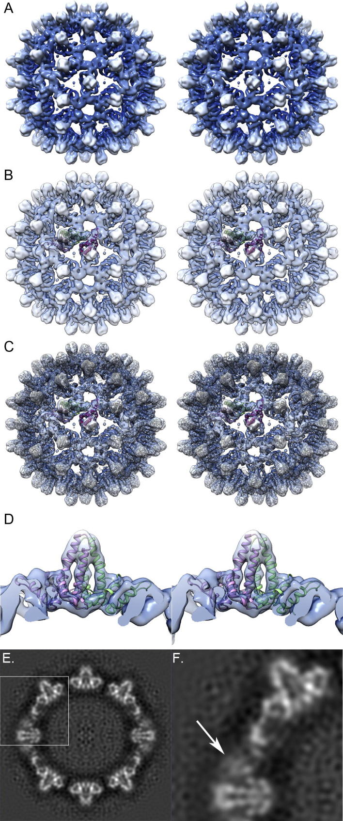 Fig.4