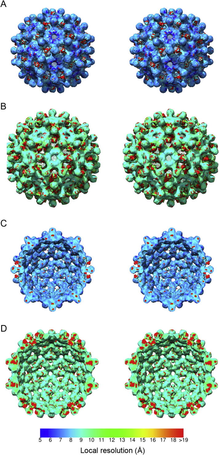 Fig.2