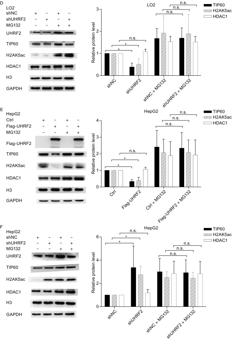 Figure 3