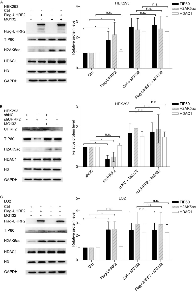 Figure 3