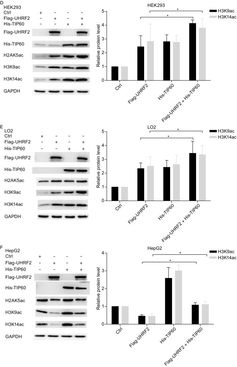 Figure 5