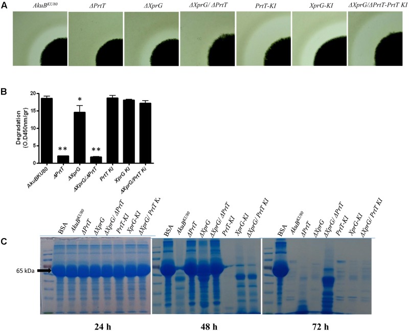 FIGURE 3