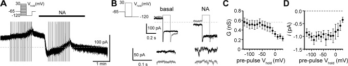 Figure 2—figure supplement 1.