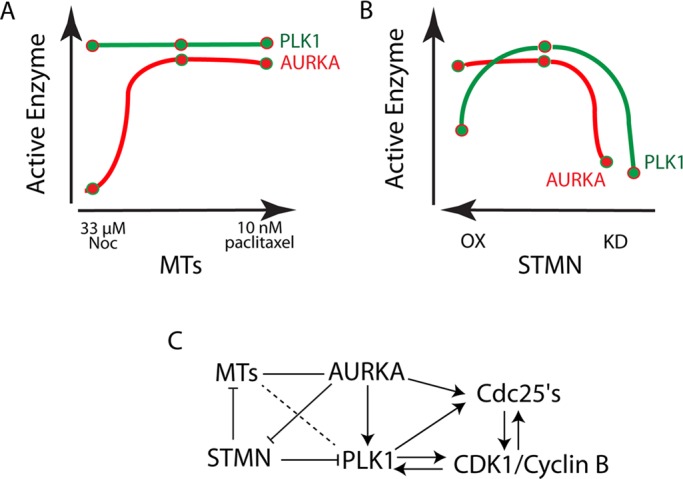 FIGURE 9: